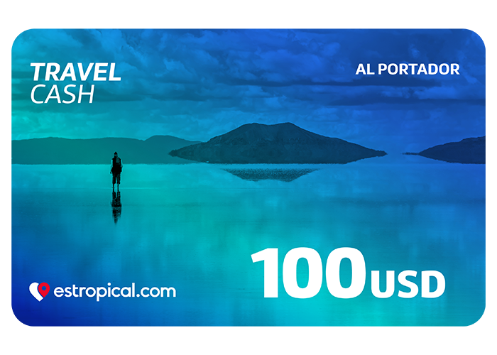 Travel Cash1 100 USD